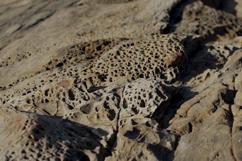 Salt Rock Beach Rocks_5